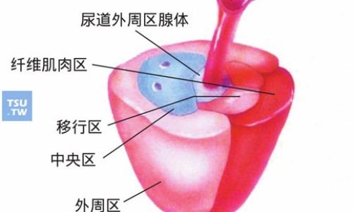 【荷兰乳果糖口服溶液的副作用大吗】荷兰进口乳果糖价格 - 荷兰乳果糖口服溶液的副作用网